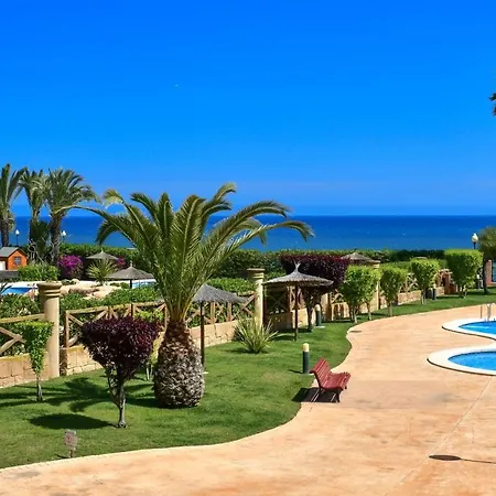Calitas Ii * Orihuela